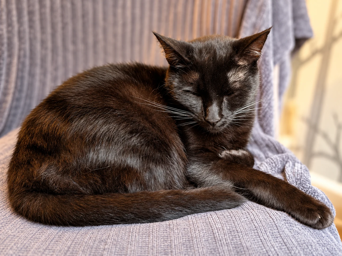 Portrait de Ubby